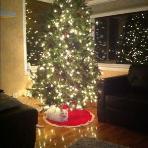 Meet your Posher, Kim